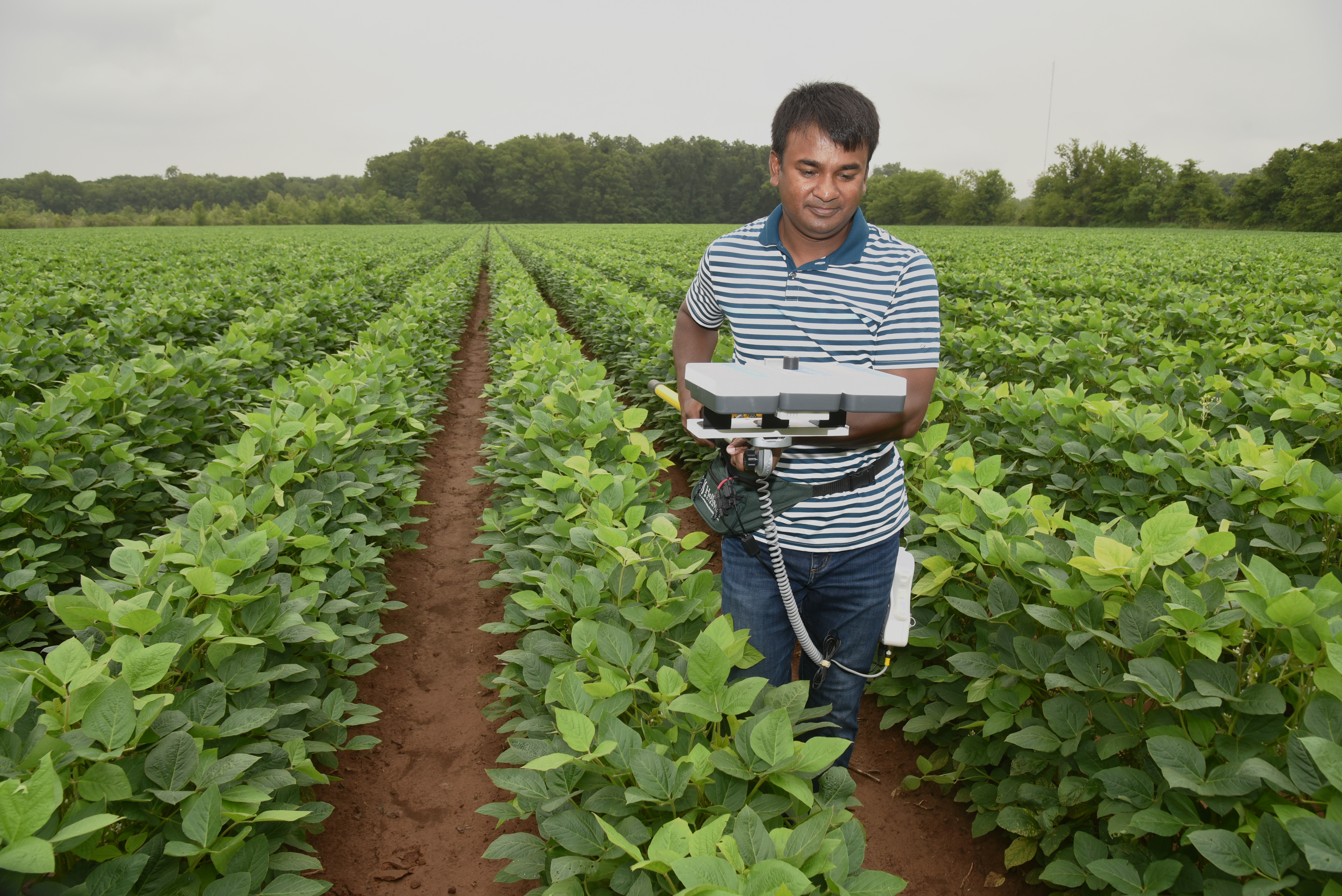 New Faculty Profile: Fertile soils are the focus of Rasel Parvej’s research